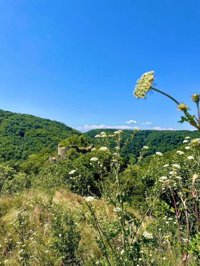 Apartament Drozdi Hnizdo Horni Breckov Zewnętrze zdjęcie